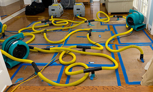 Professional Water Damage Repair technician working in Water Mill, NY